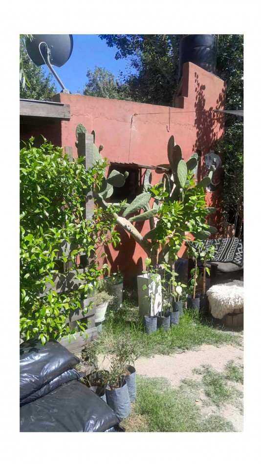 VENTA CABAÑA 2 AMBIENTES MAS VIVERO 