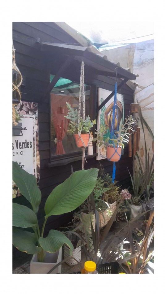 VENTA CABAÑA 2 AMBIENTES MAS VIVERO 