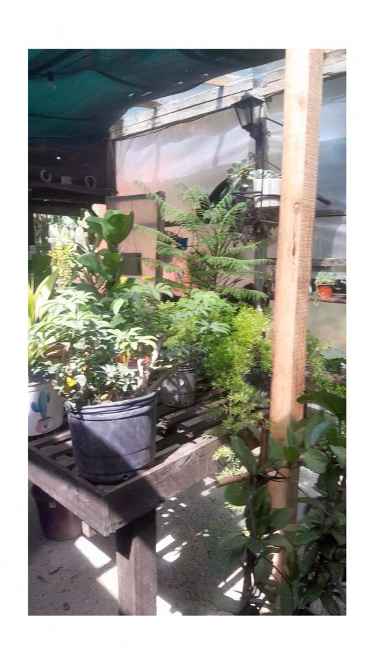 VENTA CABAÑA 2 AMBIENTES MAS VIVERO 