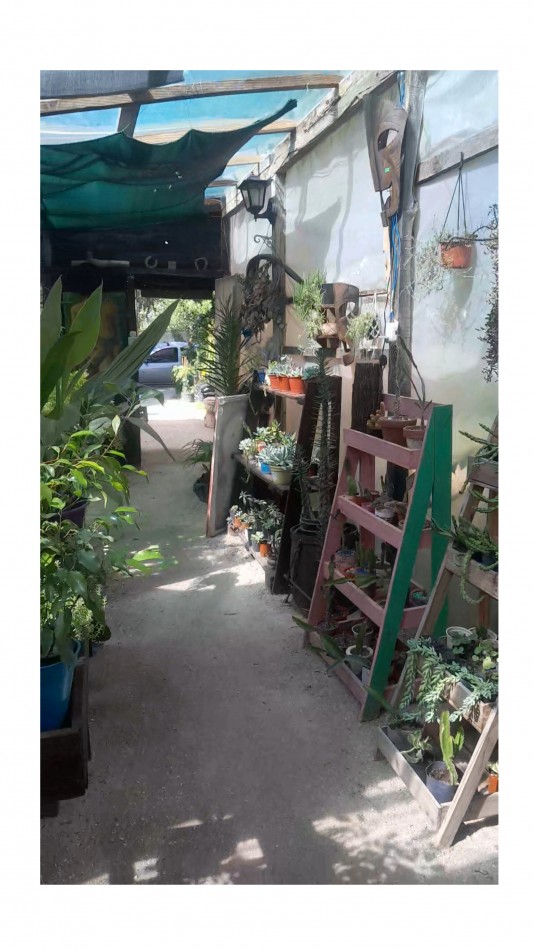 VENTA CABAÑA 2 AMBIENTES MAS VIVERO 