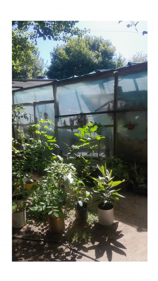 VENTA CABAÑA 2 AMBIENTES MAS VIVERO 