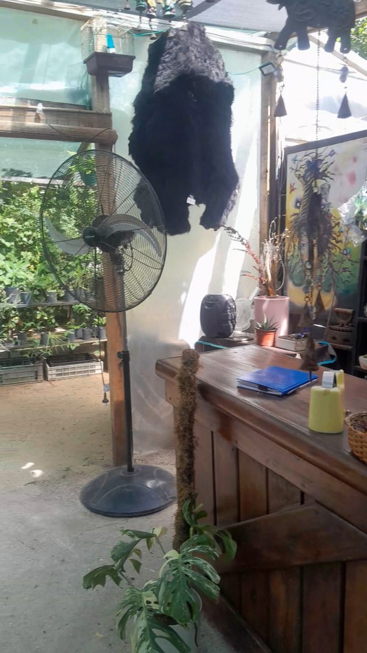 VENTA CABAÑA 2 AMBIENTES MAS VIVERO 