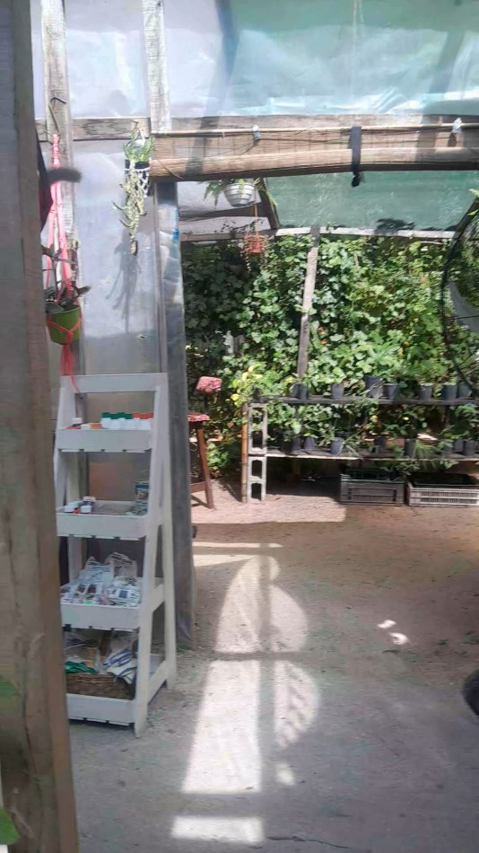 VENTA CABAÑA 2 AMBIENTES MAS VIVERO 