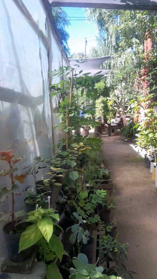 VENTA CABAÑA 2 AMBIENTES MAS VIVERO 