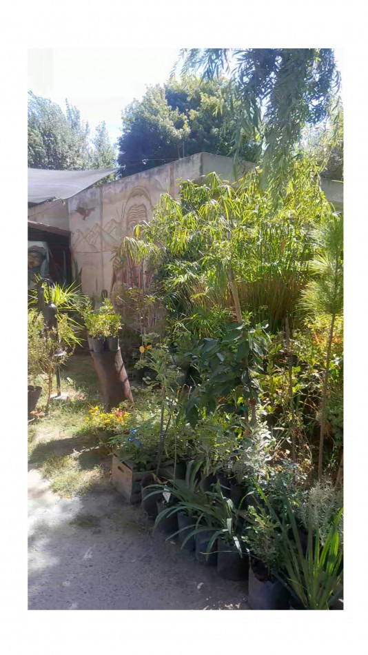VENTA CABAÑA 2 AMBIENTES MAS VIVERO 