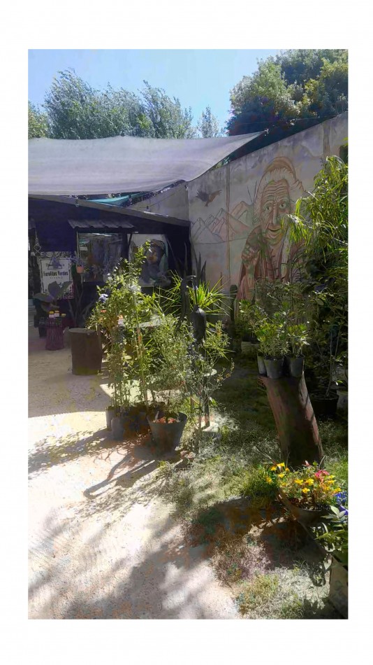 VENTA CABAÑA 2 AMBIENTES MAS VIVERO 