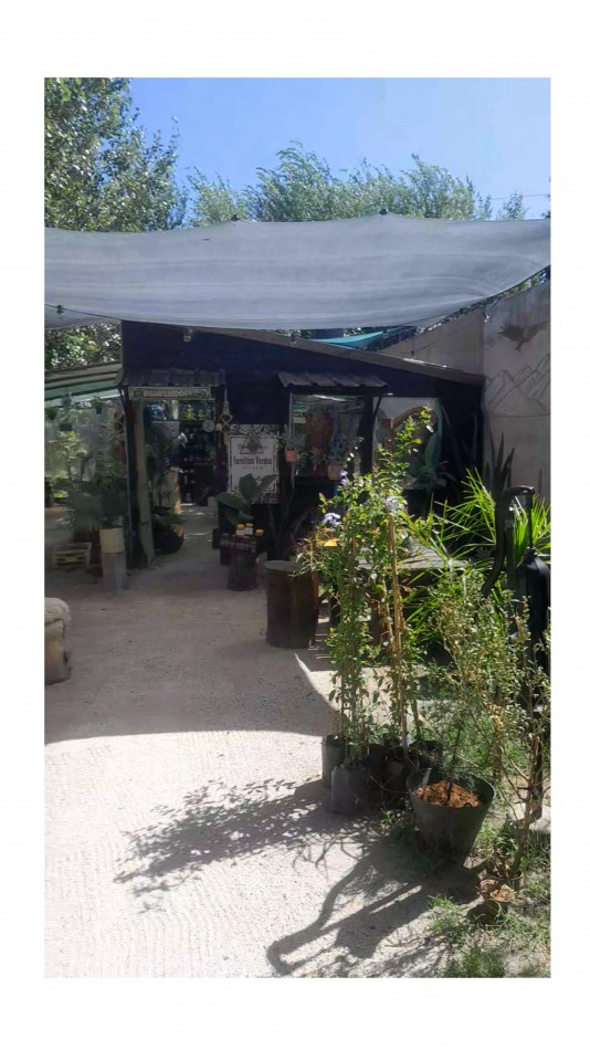 VENTA CABAÑA 2 AMBIENTES MAS VIVERO 