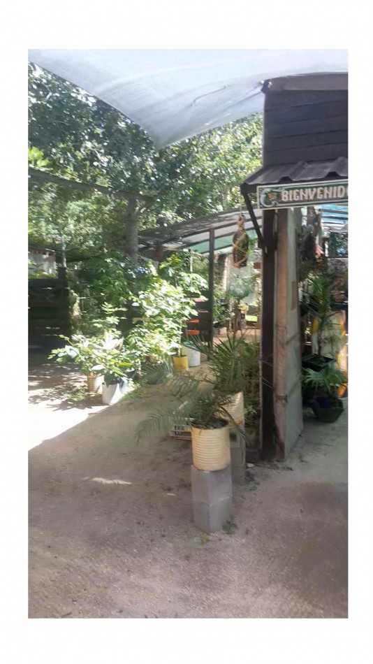 VENTA CABAÑA 2 AMBIENTES MAS VIVERO 