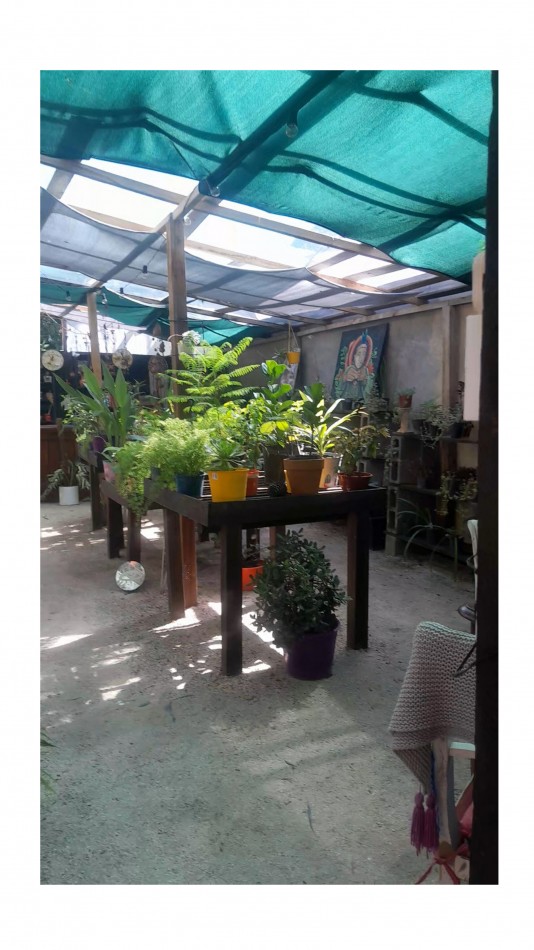 VENTA CABAÑA 2 AMBIENTES MAS VIVERO 