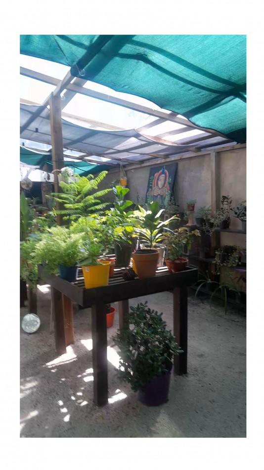 VENTA CABAÑA 2 AMBIENTES MAS VIVERO 