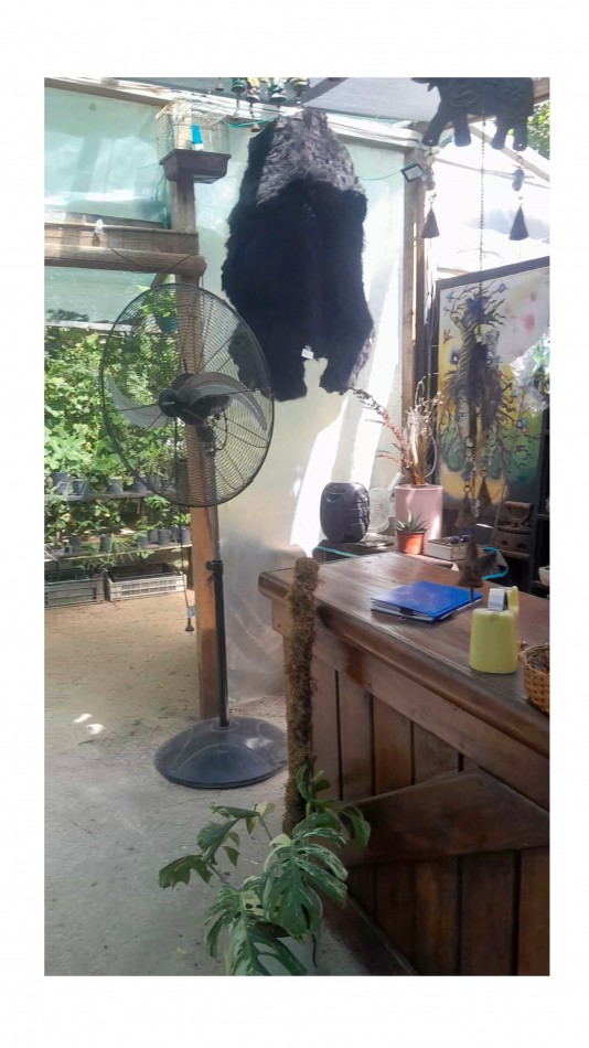 VENTA CABAÑA 2 AMBIENTES MAS VIVERO 