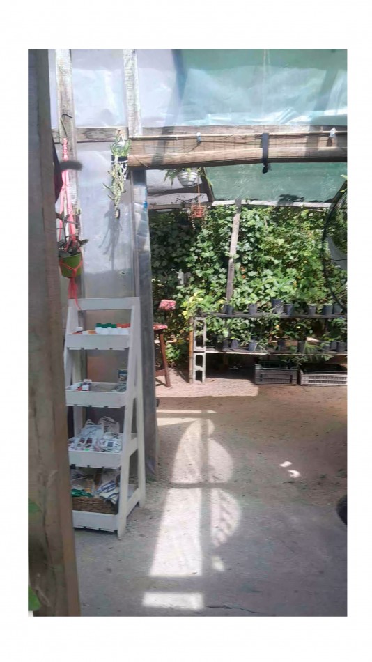 VENTA CABAÑA 2 AMBIENTES MAS VIVERO 