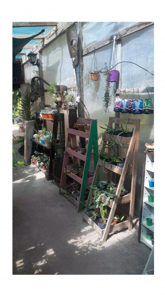 VENTA CABAÑA 2 AMBIENTES MAS VIVERO 
