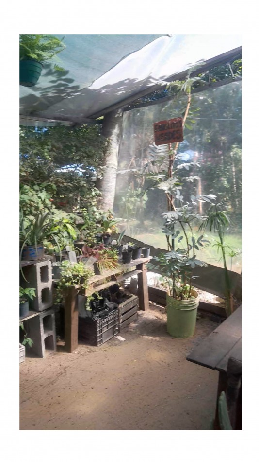 VENTA CABAÑA 2 AMBIENTES MAS VIVERO 