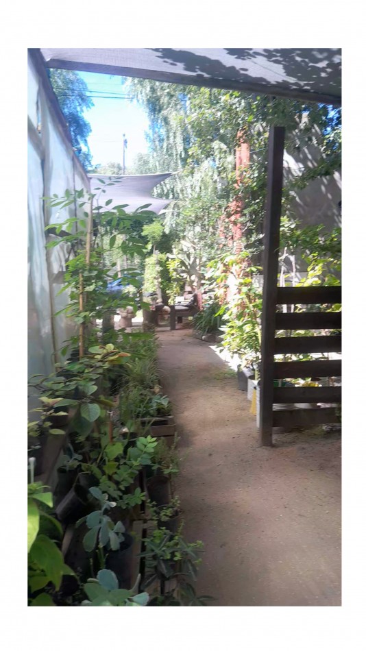 VENTA CABAÑA 2 AMBIENTES MAS VIVERO 