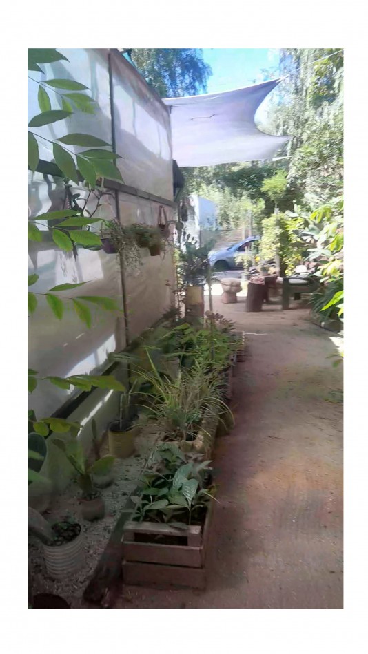 VENTA CABAÑA 2 AMBIENTES MAS VIVERO 