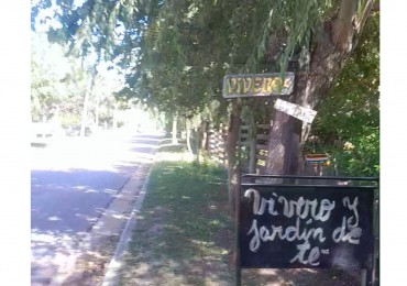 VENTA CABAÑA 2 AMBIENTES MAS VIVERO 