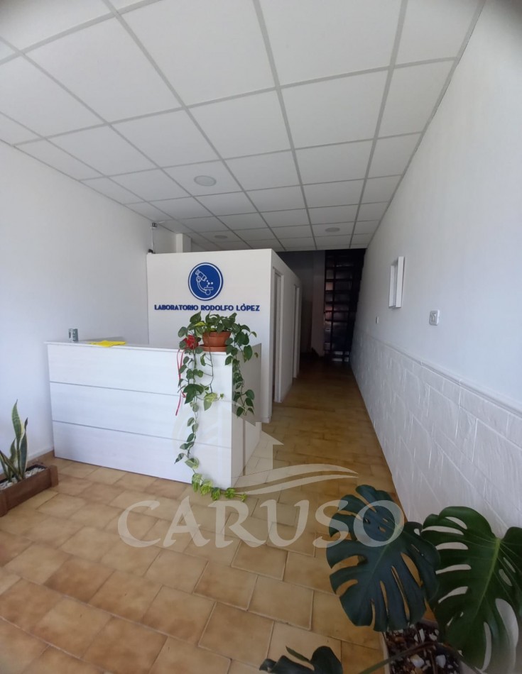 6 Locales + 8 Deptos en QUILMES OESTE - EN BLOCK O SEPARADO