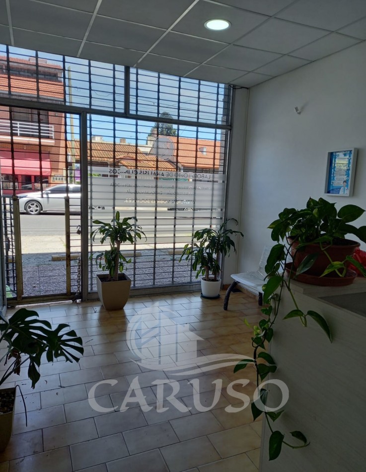 6 Locales + 8 Deptos en QUILMES OESTE - EN BLOCK O SEPARADO