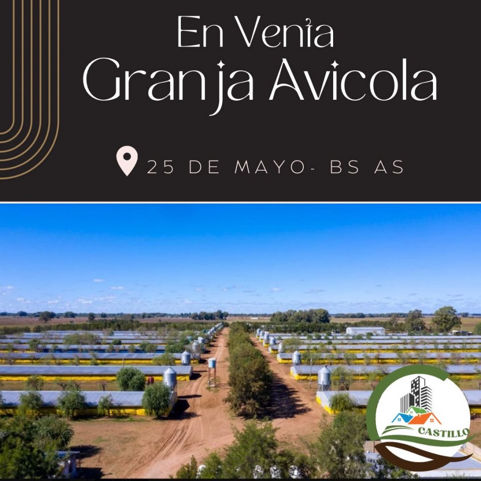 Granja Avicola 