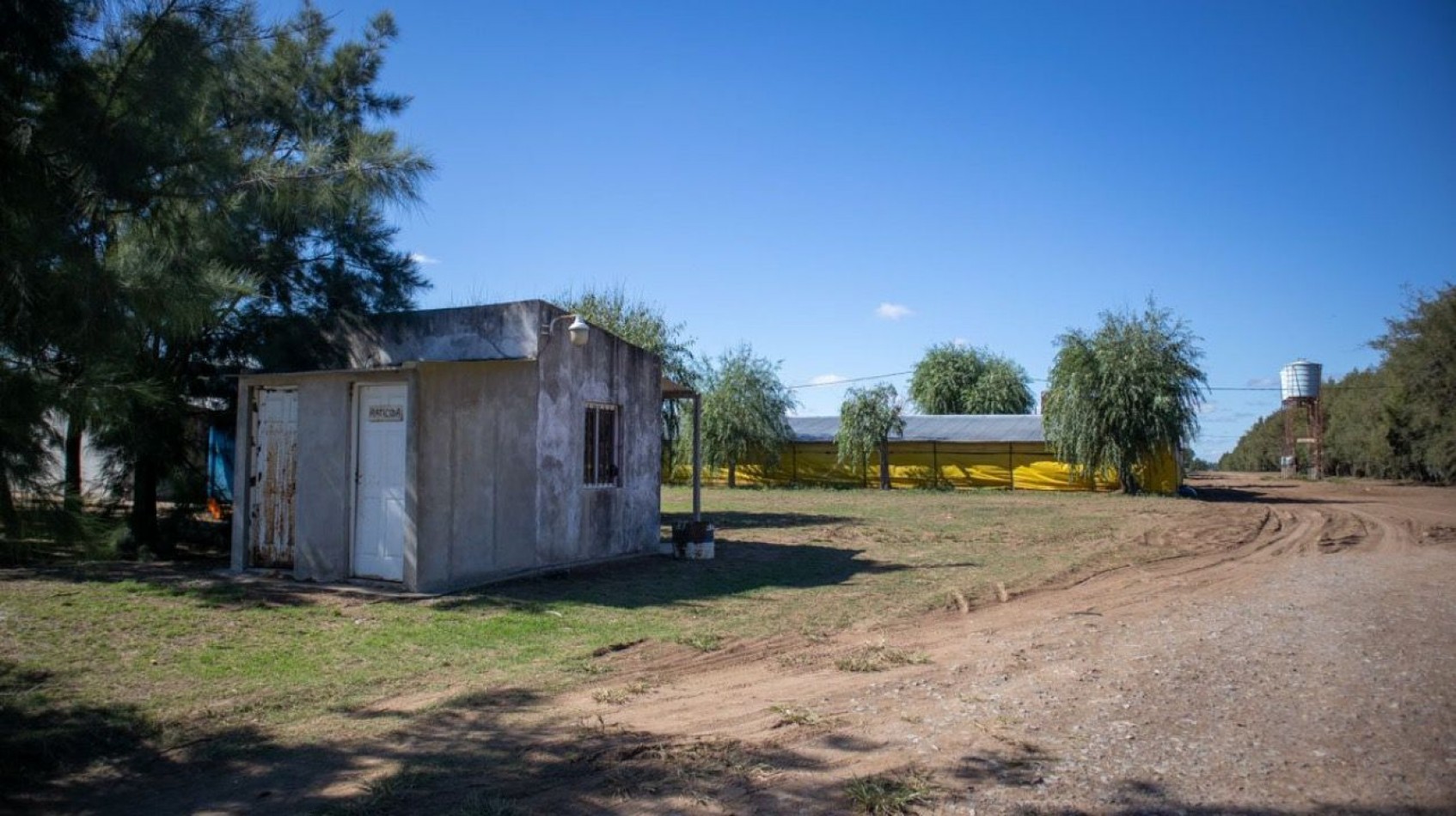 Granja Avicola 