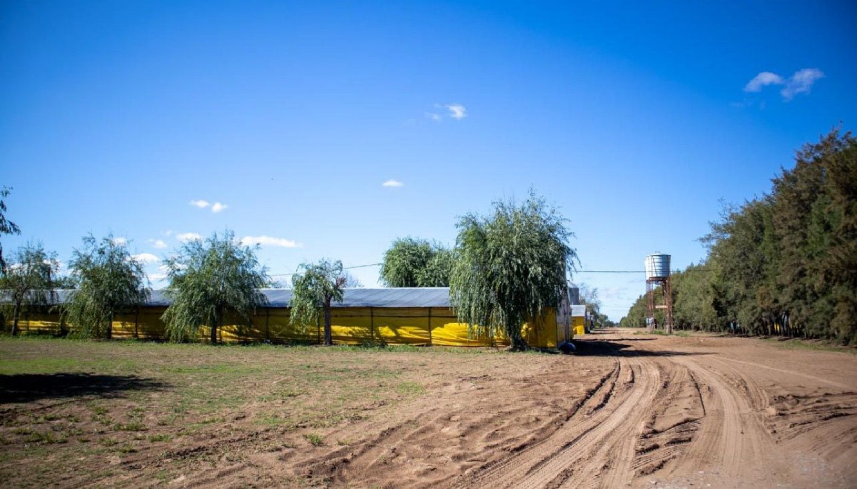 Granja Avicola 