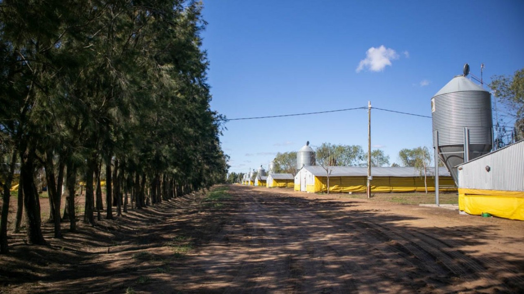 Granja Avicola 