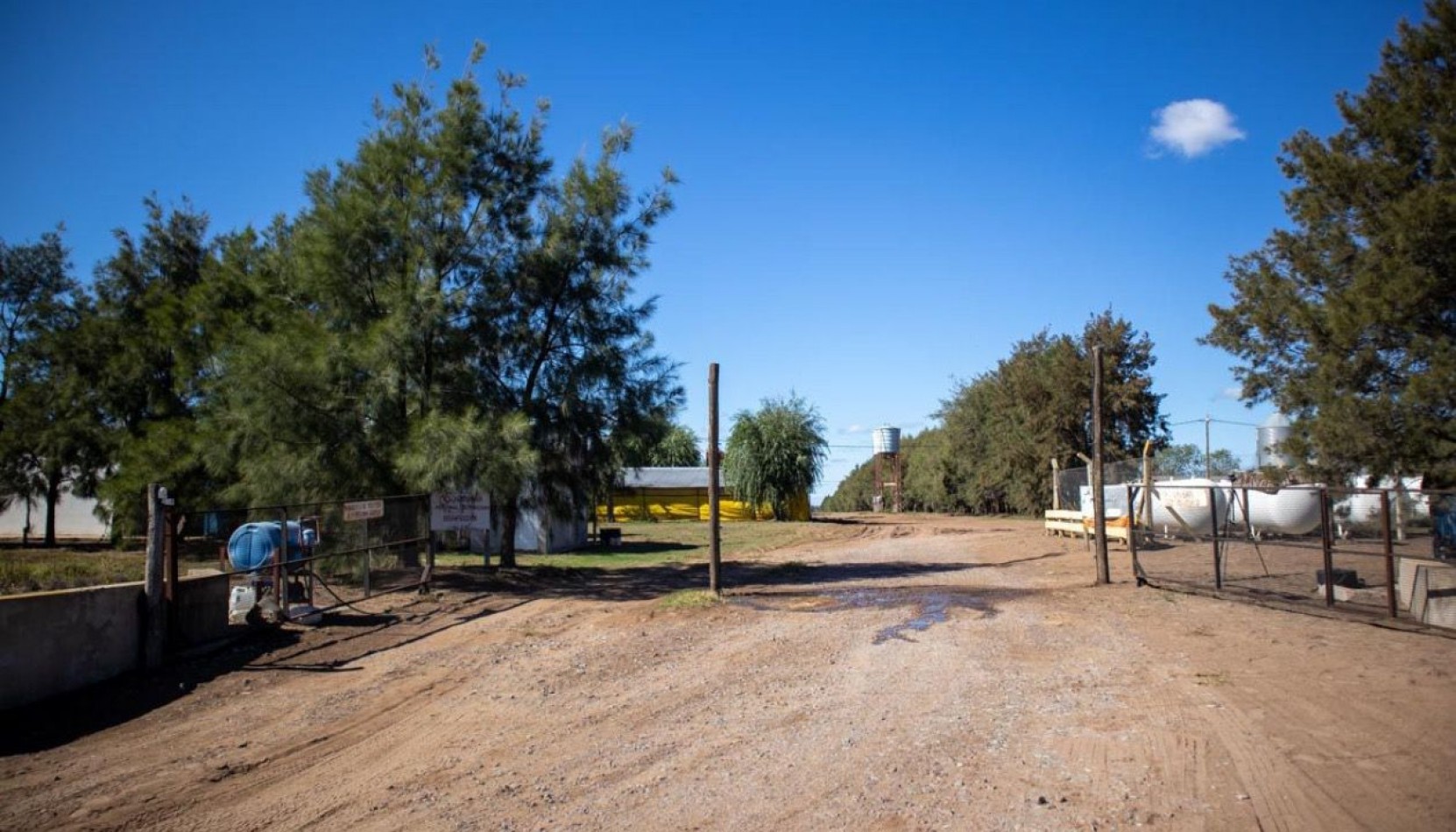 Granja Avicola 