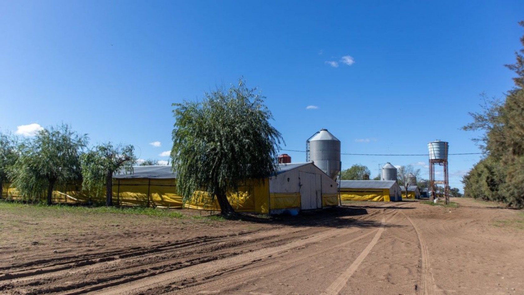 Granja Avicola 