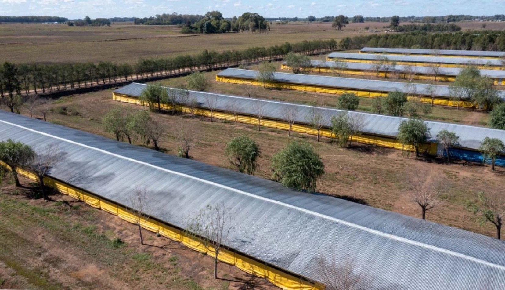 Granja Avicola 