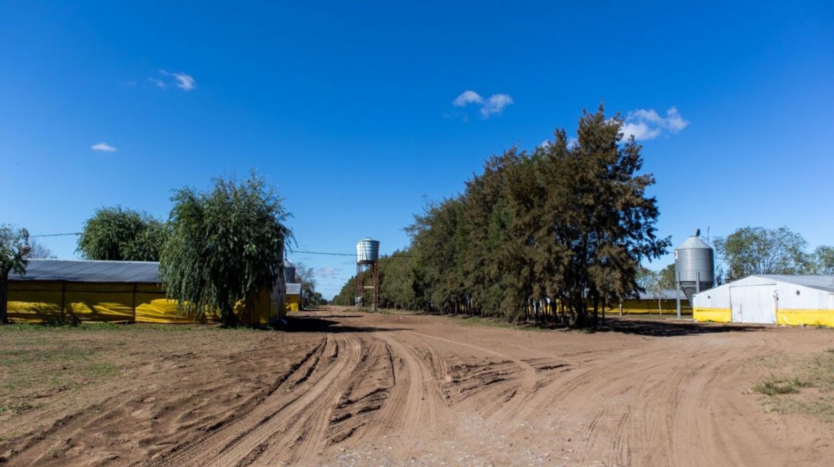 Granja Avicola 