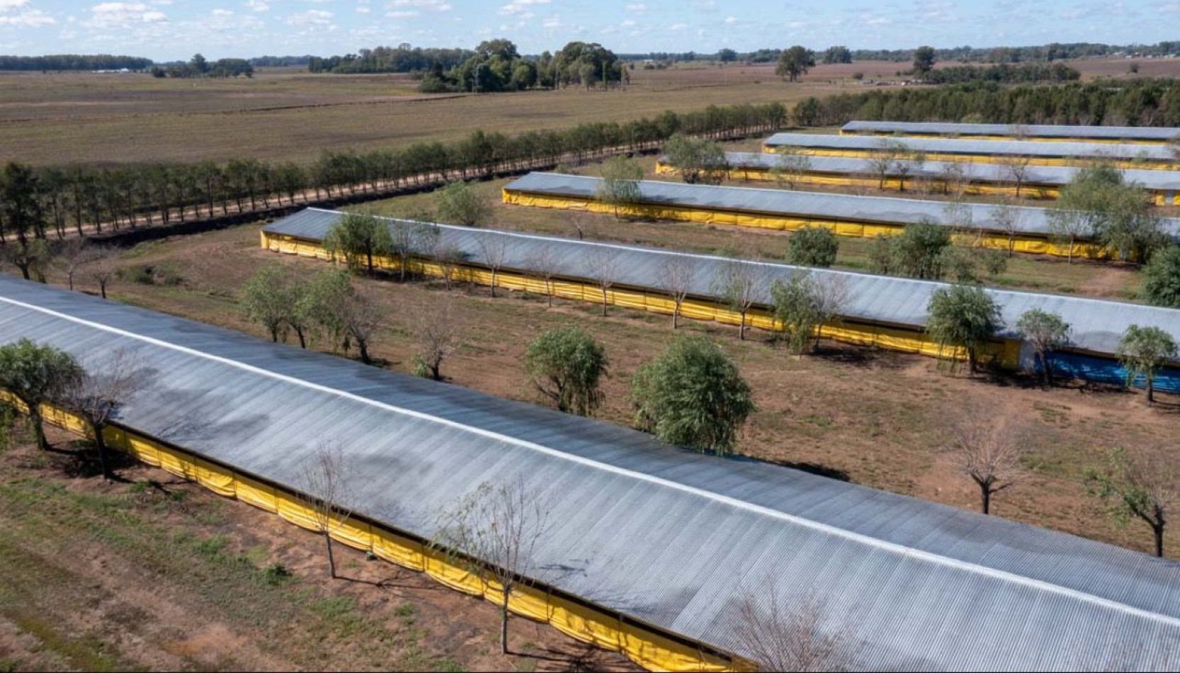 Granja Avicola 