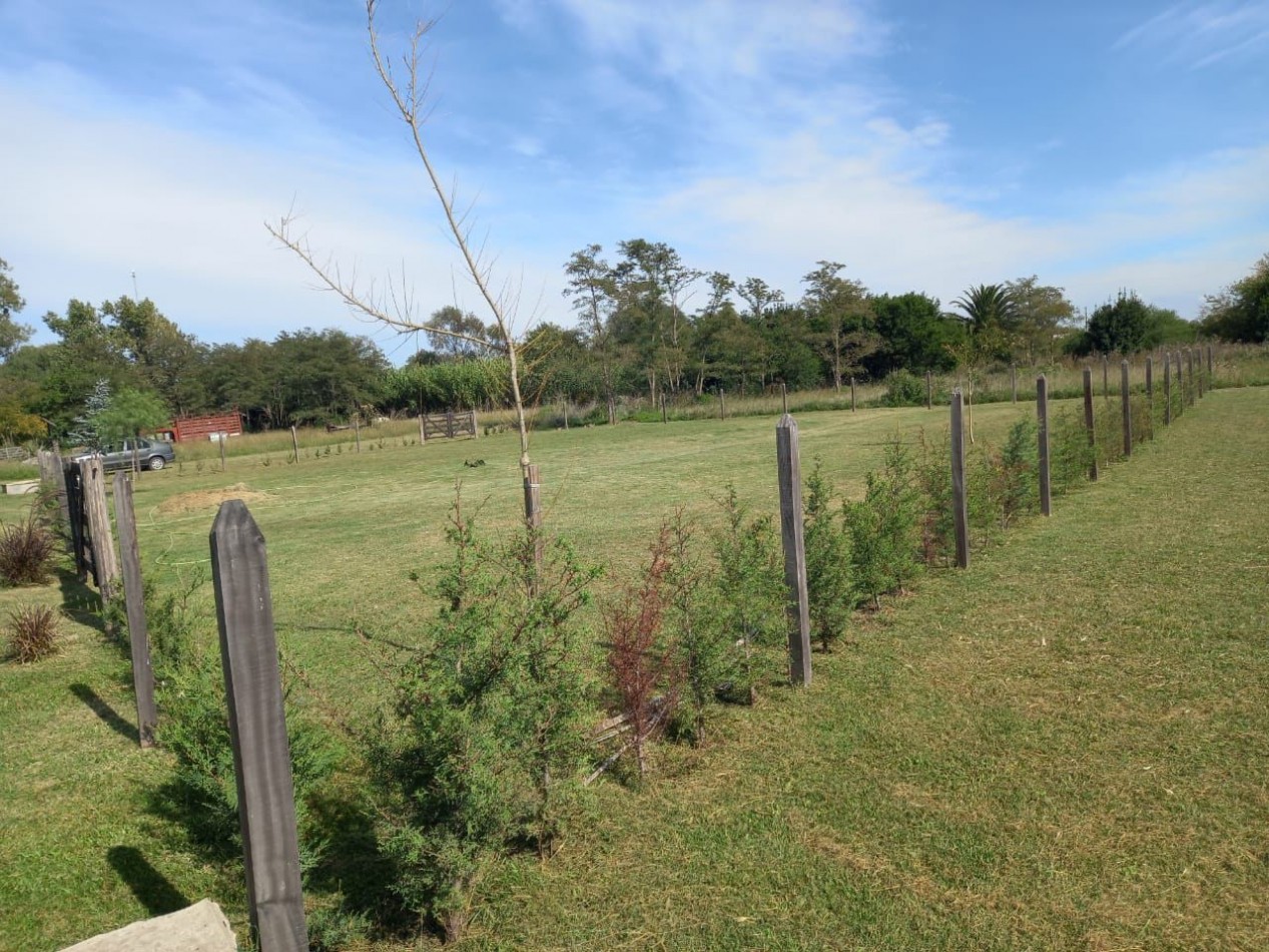 Lote 830 mts2 - Las Flores