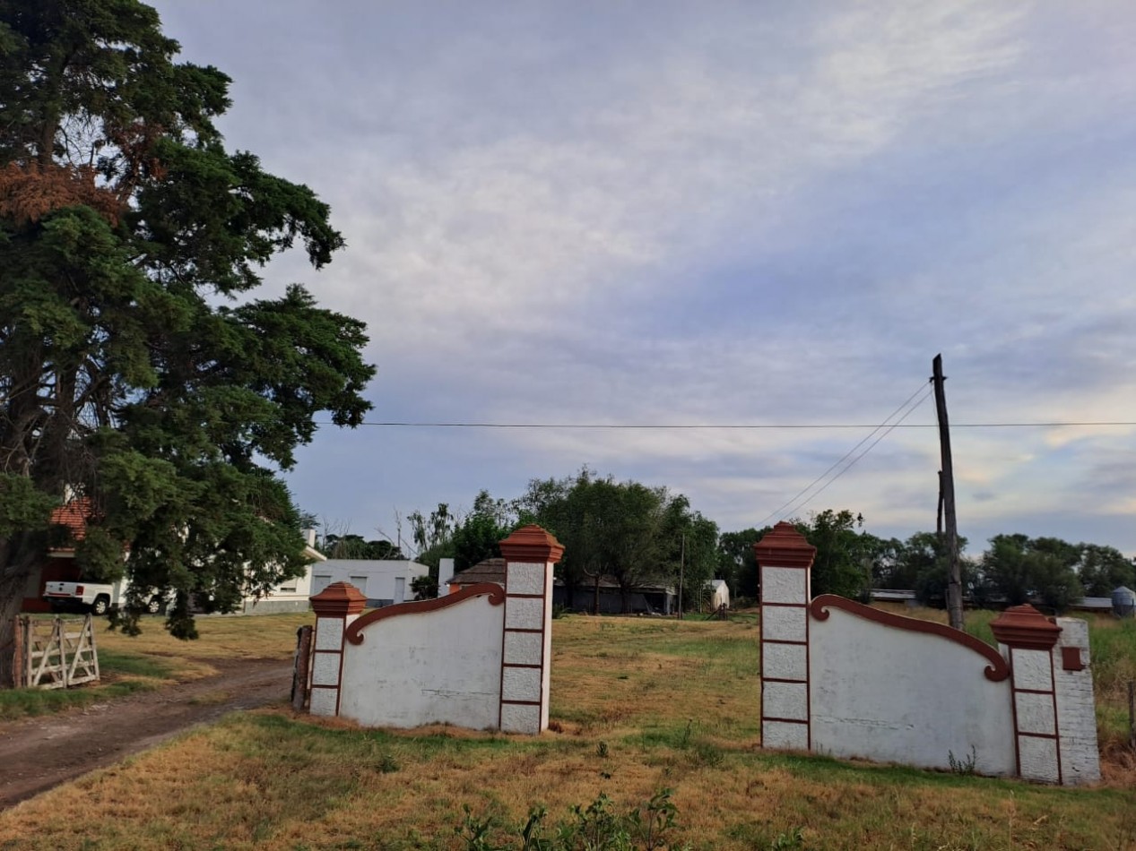 Granja Avicola con Casa - Pedernales