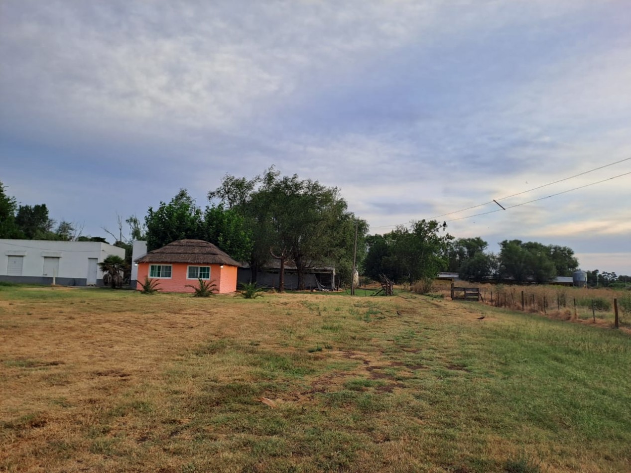Granja Avicola con Casa - Pedernales