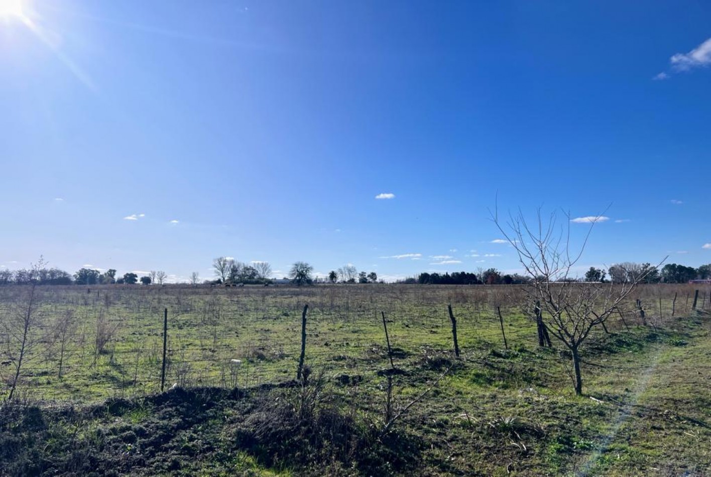 10,5 ha - Saladillo