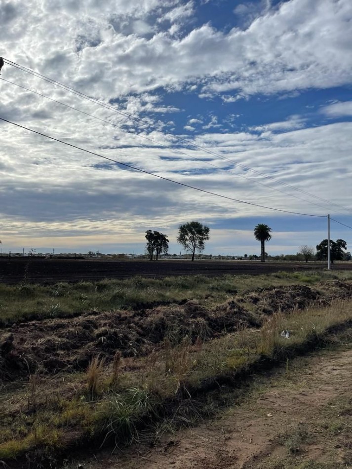 10,5 ha - Saladillo