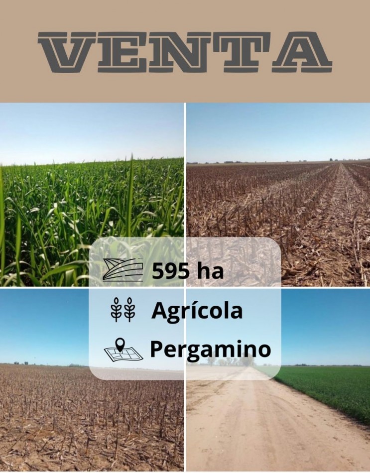 595 ha Agricolas - Pergamino