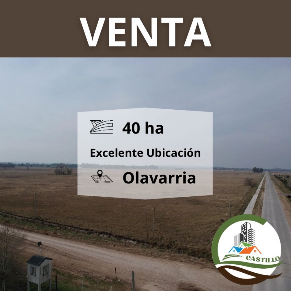 40 ha subdivididas - Olavarria