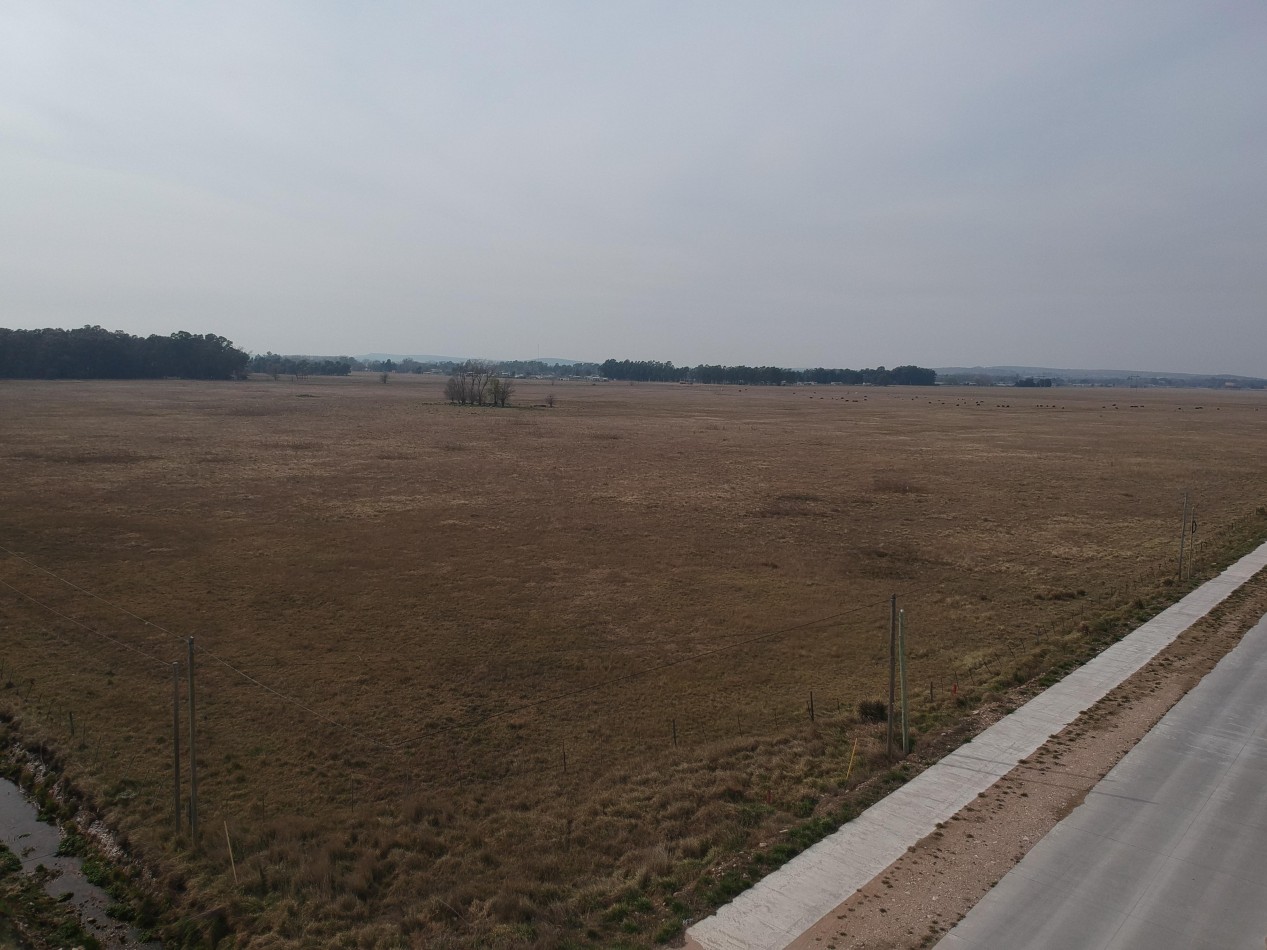 40 ha subdivididas - Olavarria