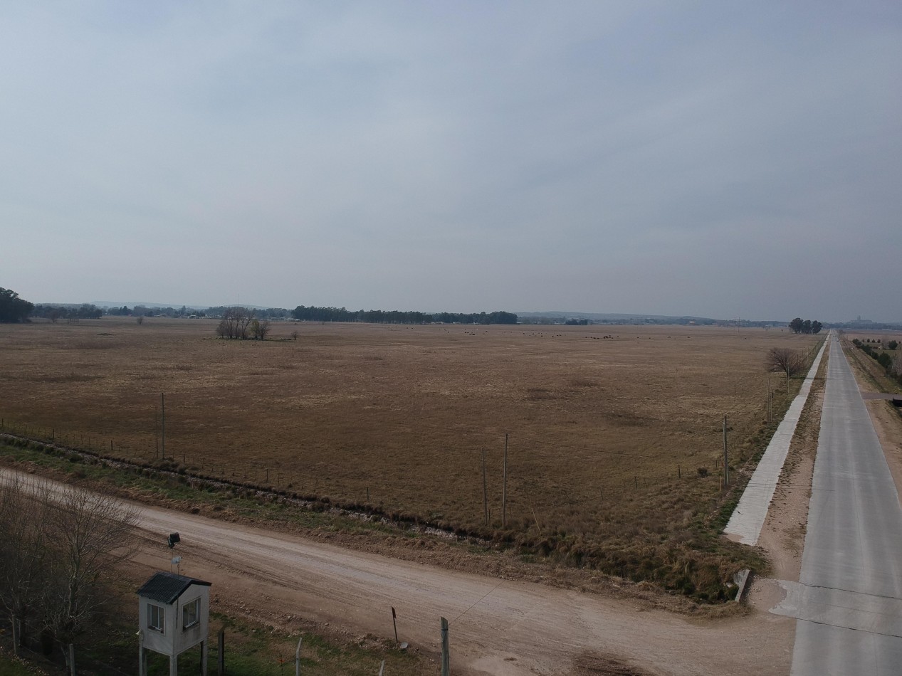 40 ha subdivididas - Olavarria