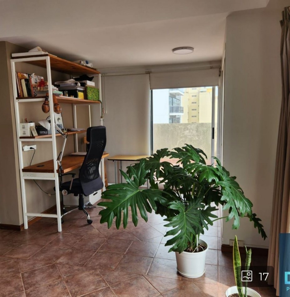 Departamento monoambiente - Mar del Plata