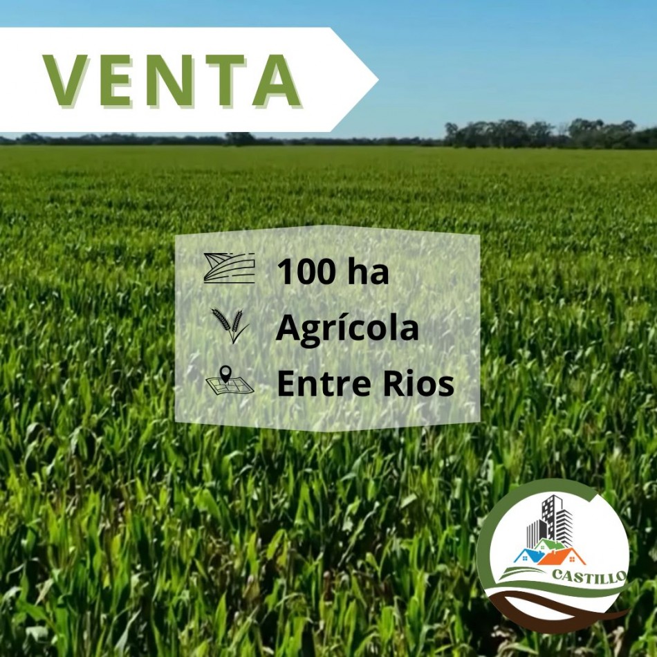 100 Ha Agricolas + 1145 Ha. de Isla - Entre rios