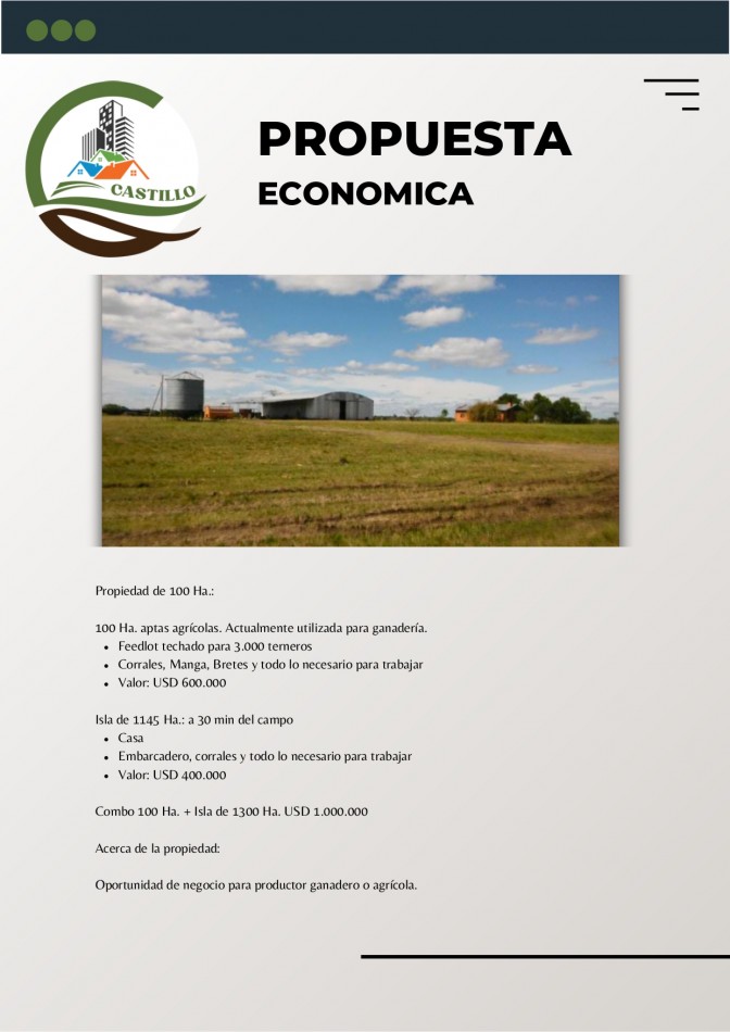 100 Ha Agricolas + 1145 Ha. de Isla - Entre rios