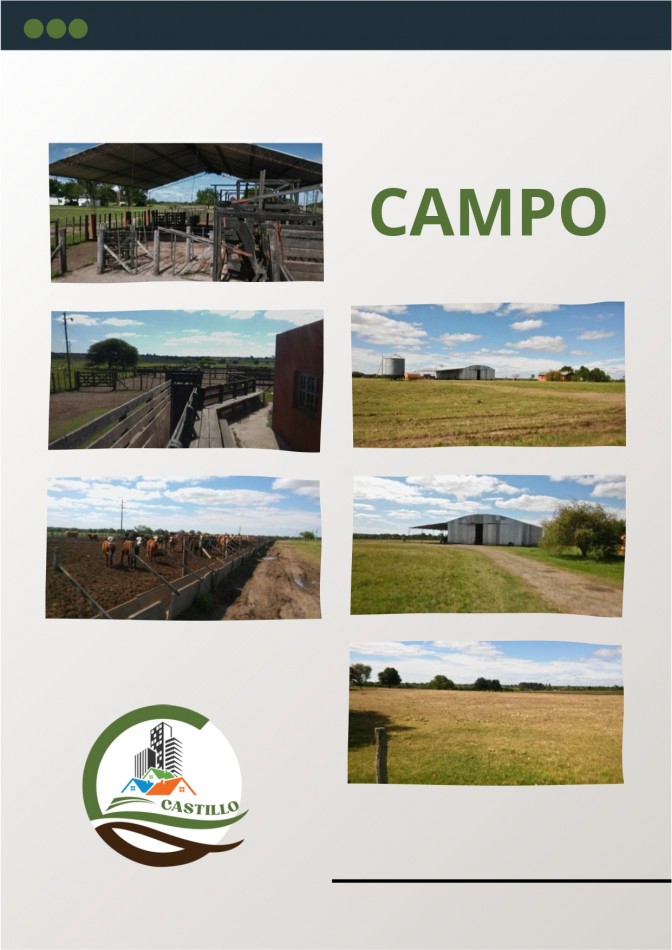 100 Ha Agricolas + 1145 Ha. de Isla - Entre rios