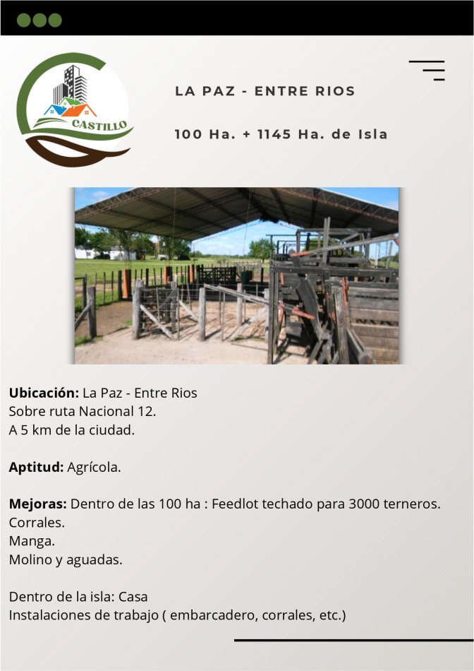 100 Ha Agricolas + 1145 Ha. de Isla - Entre rios