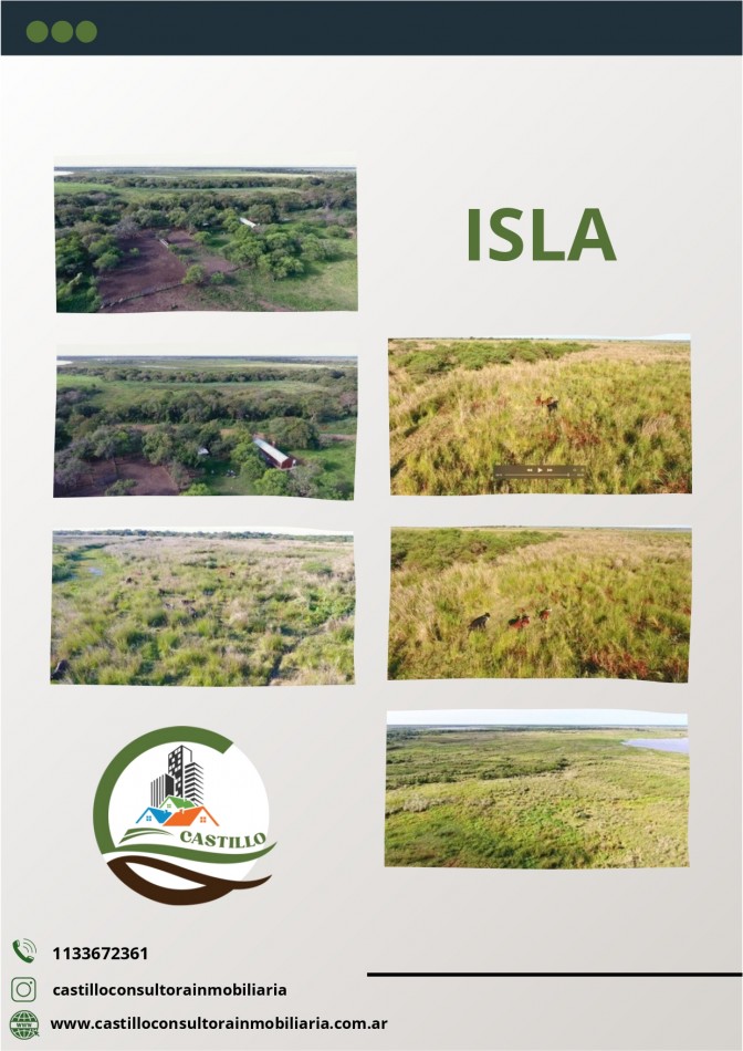 100 Ha Agricolas + 1145 Ha. de Isla - Entre rios