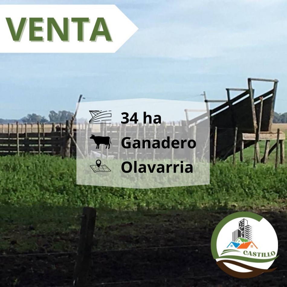 34 ha ganadera - Olavarria