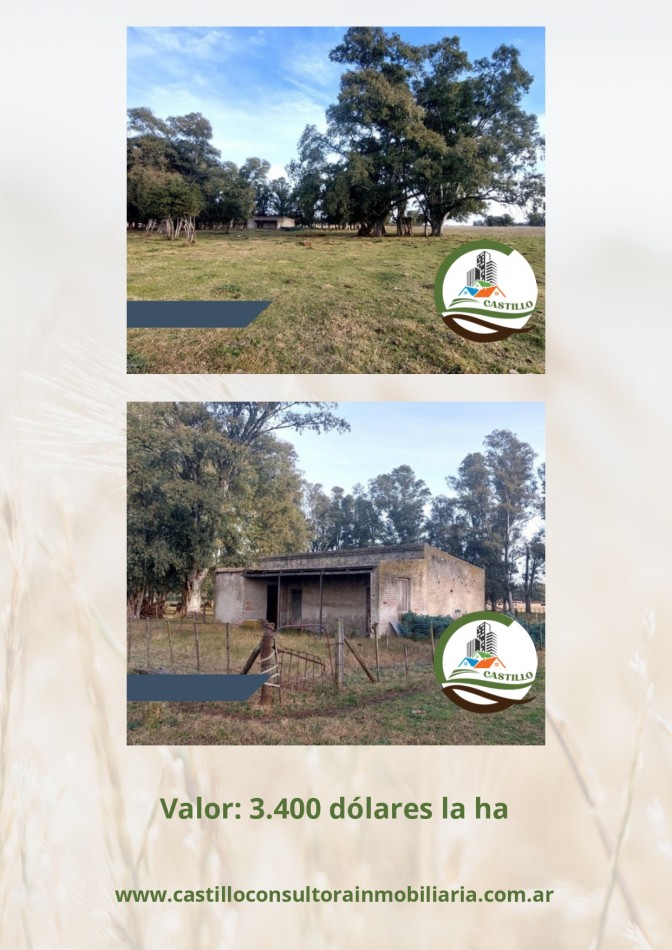 34 ha ganadera - Olavarria