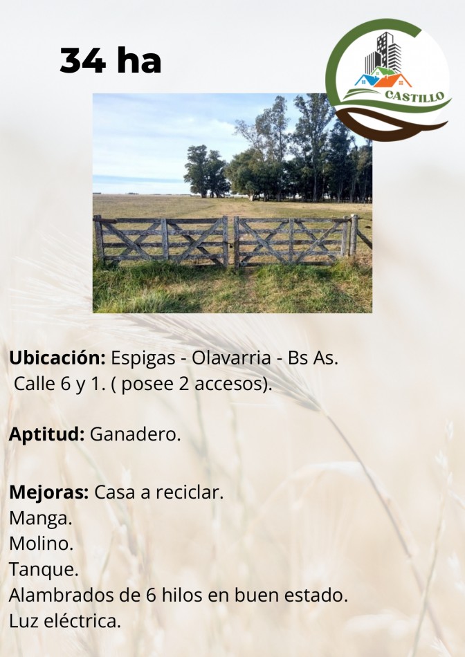 34 ha ganadera - Olavarria